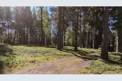 27460 State Highway 88, Pioneer, CA 95666 - Photo 24