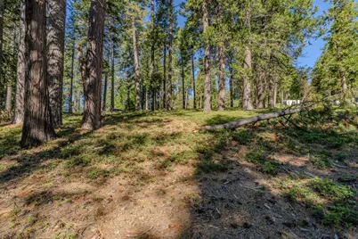 27460 State Highway 88, Pioneer, CA 95666 - Photo 32
