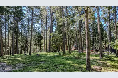 27460 State Highway 88, Pioneer, CA 95666 - Photo 2