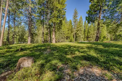 27460 State Highway 88, Pioneer, CA 95666 - Photo 28