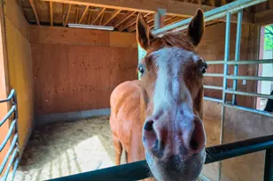 39000 Kearsarge Mill Rd, Alta, CA 95701 - Photo 46