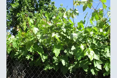 2125 Harris Avenue, Sacramento, CA 95838 - Photo 26