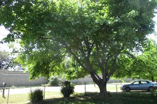 2125 Harris Ave, Sacramento, CA 95838 - Photo 28