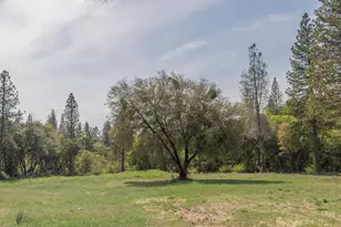 0 Greenbush Rd, Forbestown, CA 95941 - Photo 1