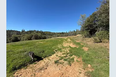 0 Greenbush Rd, Forbestown, CA 95941 - Photo 10