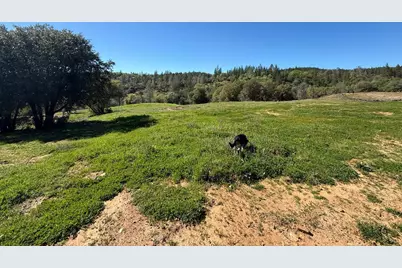 0 Greenbush Rd, Forbestown, CA 95941 - Photo 2