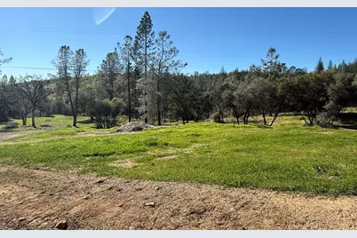 0 Greenbush Rd, Forbestown, CA 95941 - Photo 16