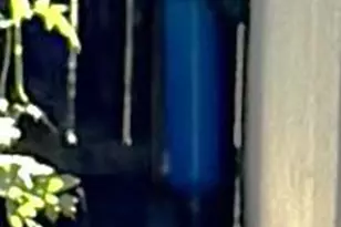 2859 Sierra Gold Ct, Riverbank, CA 95367 - Photo 52