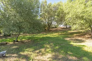 379 Perlina Terrace, Angels Camp, CA 95222 - Photo 46