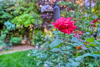 20925 Indian Drive, Colfax, CA 95713 - Photo 26