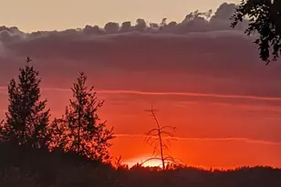 3680 Greenwood Rd, Greenwood, CA 95635 - Photo 32