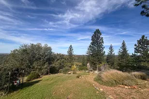 10285 Ponderosa Way, Pine Grove, CA 95665 - Photo 48