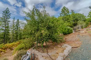 10285 Ponderosa Way, Pine Grove, CA 95665 - Photo 72