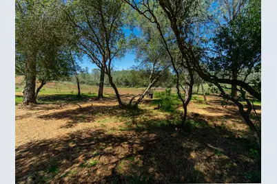 3924 Pine Cone Drive, Rescue, CA 95672 - Photo 22