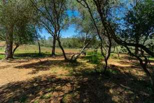 3924 Pine Cone Dr, Rescue, CA 95672 - Photo 22