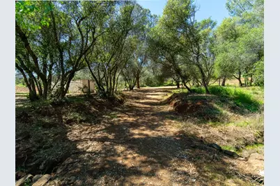3924 Pine Cone Drive, Rescue, CA 95672 - Photo 8