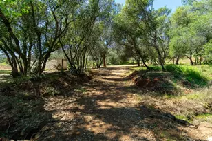 3924 Pine Cone Dr, Rescue, CA 95672 - Photo 8