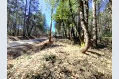 13928 Manion Canyon Road, Grass Valley, CA 95945 - Photo 2