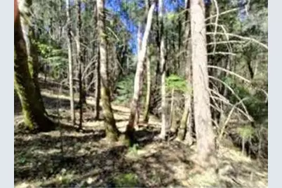 13928 Manion Canyon Road, Grass Valley, CA 95945 - Photo 4