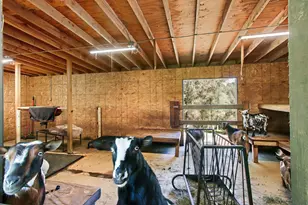 5025 Lafaille Ln, Greenwood, CA 95635 - Photo 70