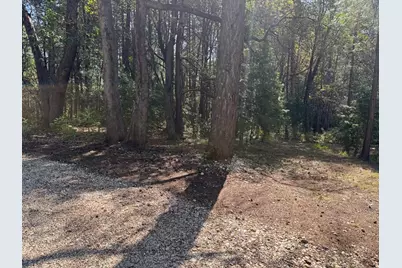 13071 Moonshine Road, Camptonville, CA 95922 - Photo 4