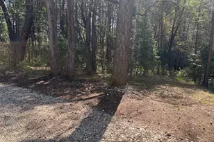 13071 Moonshine Rd, Camptonville, CA 95922 - Photo 4