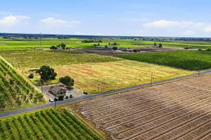 20042 N Ray Rd, Lodi, CA 95242 - Photo 52