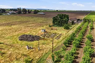 20042 N Ray Rd, Lodi, CA 95242 - Photo 48