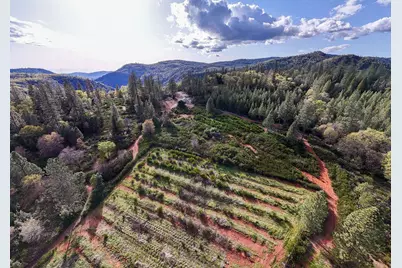 10571 Sebastopol Road, North San Juan, CA 95960 - Photo 6