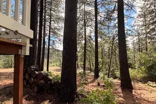 115 Main St, Gold Run, CA 95717 - Photo 18