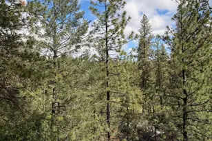115 Main St, Gold Run, CA 95717 - Photo 12