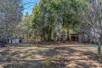 24985 Shake Ridge Road, Volcano, CA 95689 - Photo 6