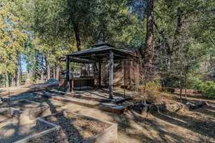 24985 Shake Ridge Rd, Volcano, CA 95689 - Photo 84