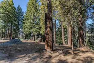 24985 Shake Ridge Rd, Volcano, CA 95689 - Photo 18