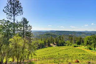 19698 View Forever Ln, Grass Valley, CA 95945 - Photo 40