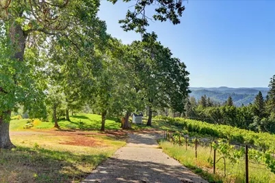 19698 View Forever Lane, Grass Valley, CA 95945 - Photo 20
