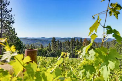 19698 View Forever Lane, Grass Valley, CA 95945 - Photo 18
