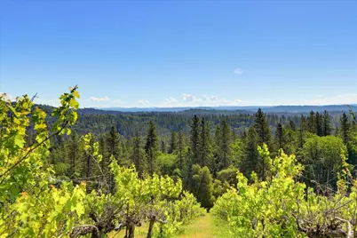 19698 View Forever Lane, Grass Valley, CA 95945 - Photo 26
