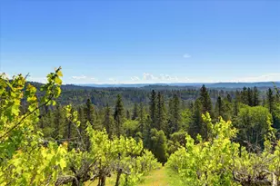 19698 View Forever Ln, Grass Valley, CA 95945 - Photo 26