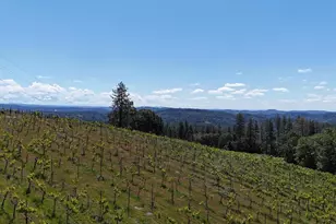 19698 View Forever Ln, Grass Valley, CA 95945 - Photo 90