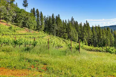 19698 View Forever Lane, Grass Valley, CA 95945 - Photo 24