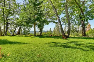 19698 View Forever Ln, Grass Valley, CA 95945 - Photo 30