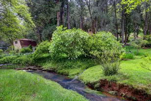 409 Live Oak Rd, Colfax, CA 95713 - Photo 66