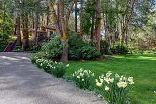 409 Live Oak Rd, Colfax, CA 95713 - Photo 4