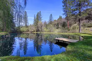 409 Live Oak Rd, Colfax, CA 95713 - Photo 2