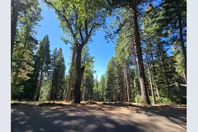 3224 York Court, Pollock Pines, CA 95726 - Photo 1