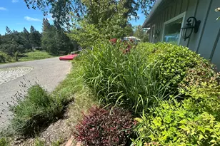 4164 Leisure Ln, Placerville, CA 95667 - Photo 24
