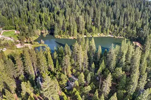 1224 Moran Rd, Arnold, CA 95223 - Photo 50
