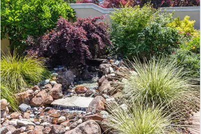 5827 Tree Swallow Cir, Rocklin, CA 95677 - Photo 30