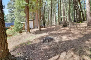 6471 Mica Ct, Pollock Pines, CA 95726 - Photo 48